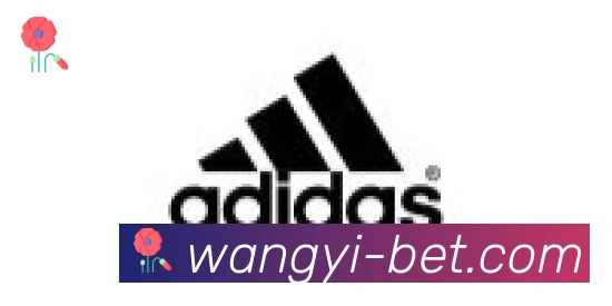 网易体育合作伙伴